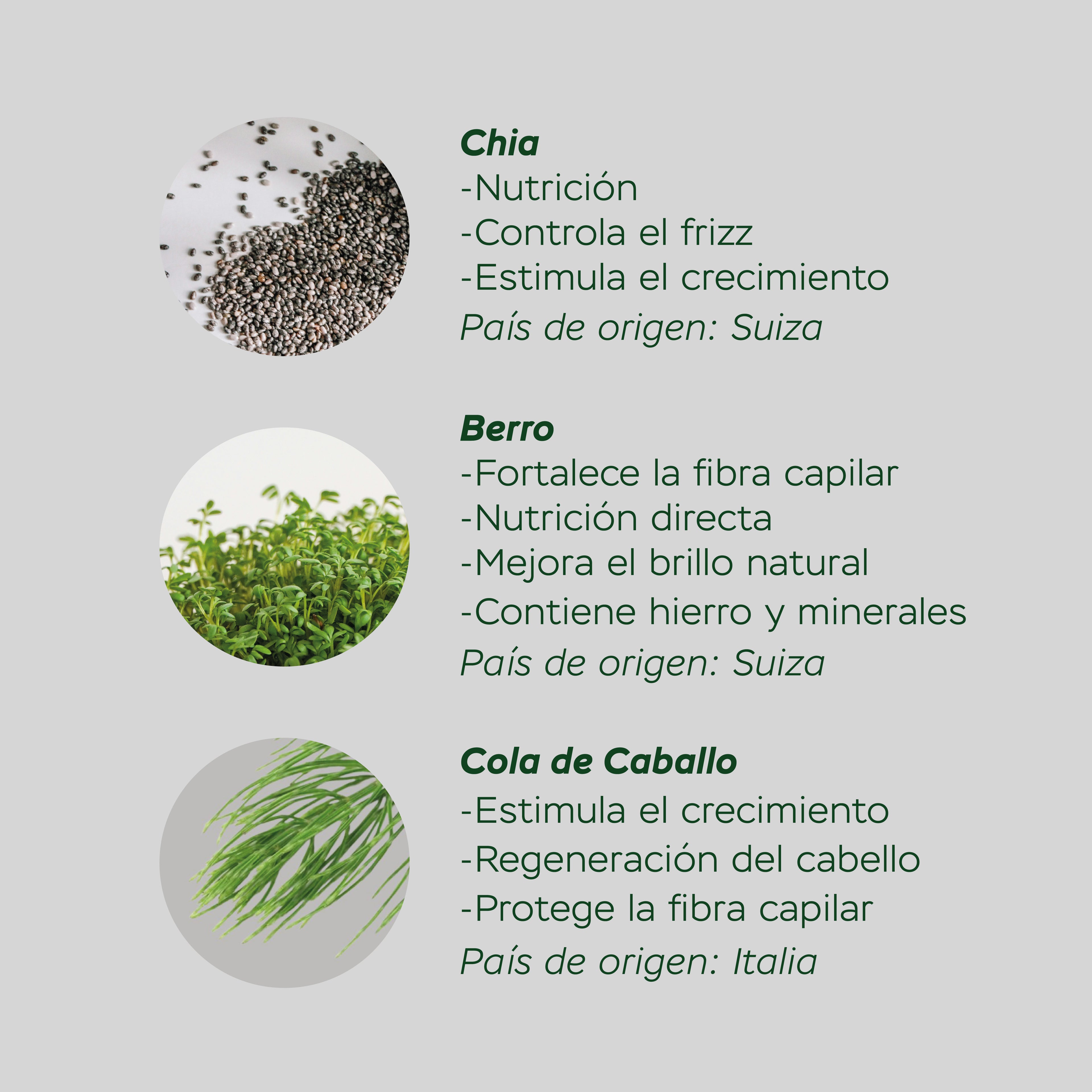 Shampoo Anti-Frizz Rowe