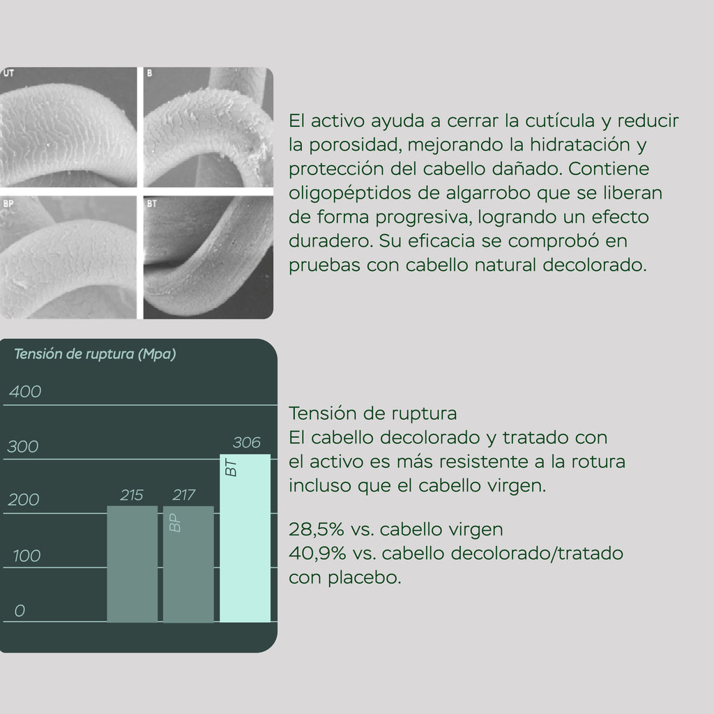 Tratamiento Reparar + Fortalecer