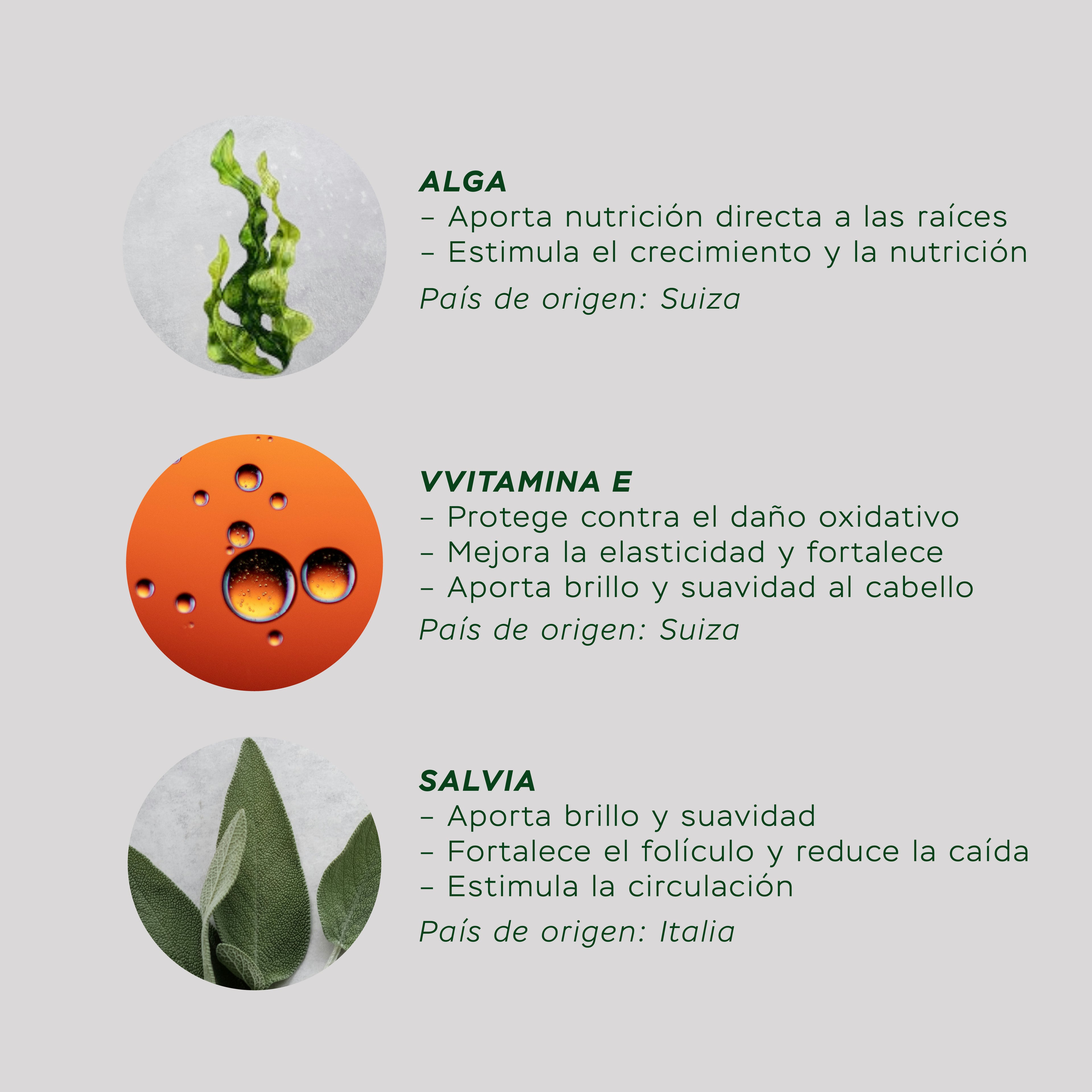 Tratamiento Reparar + Fortalecer