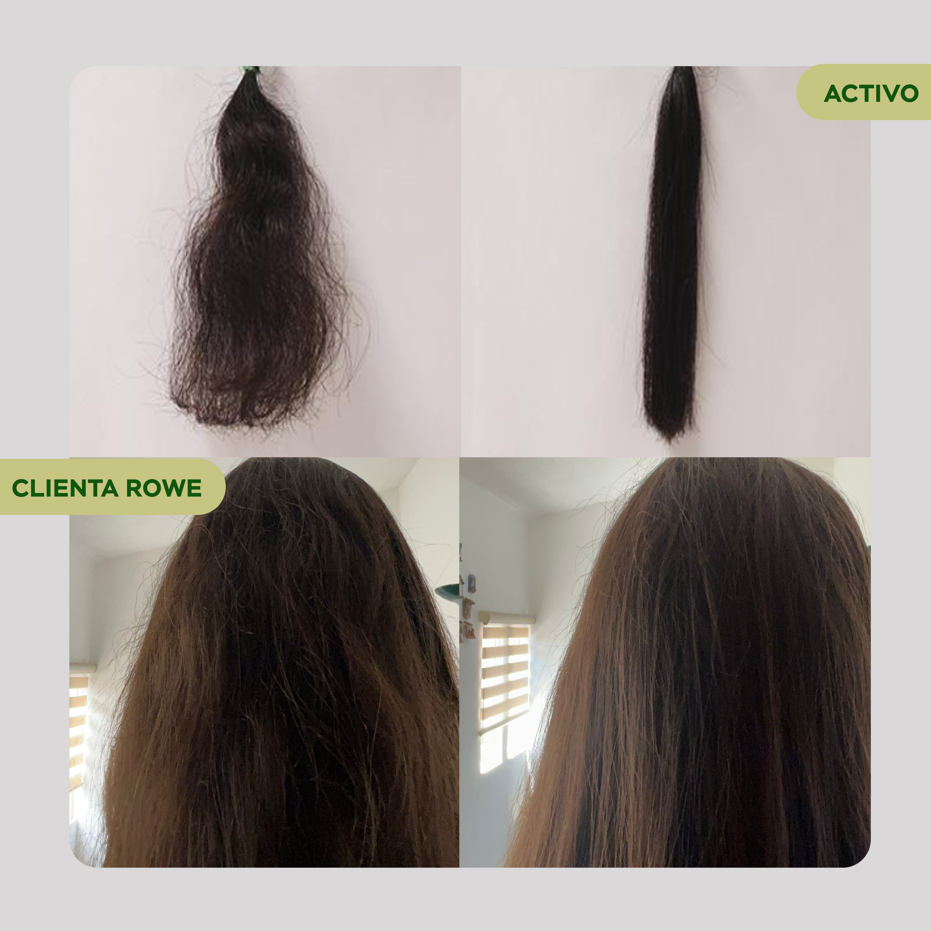 Tratamiento Anti-frizz + Hidratar