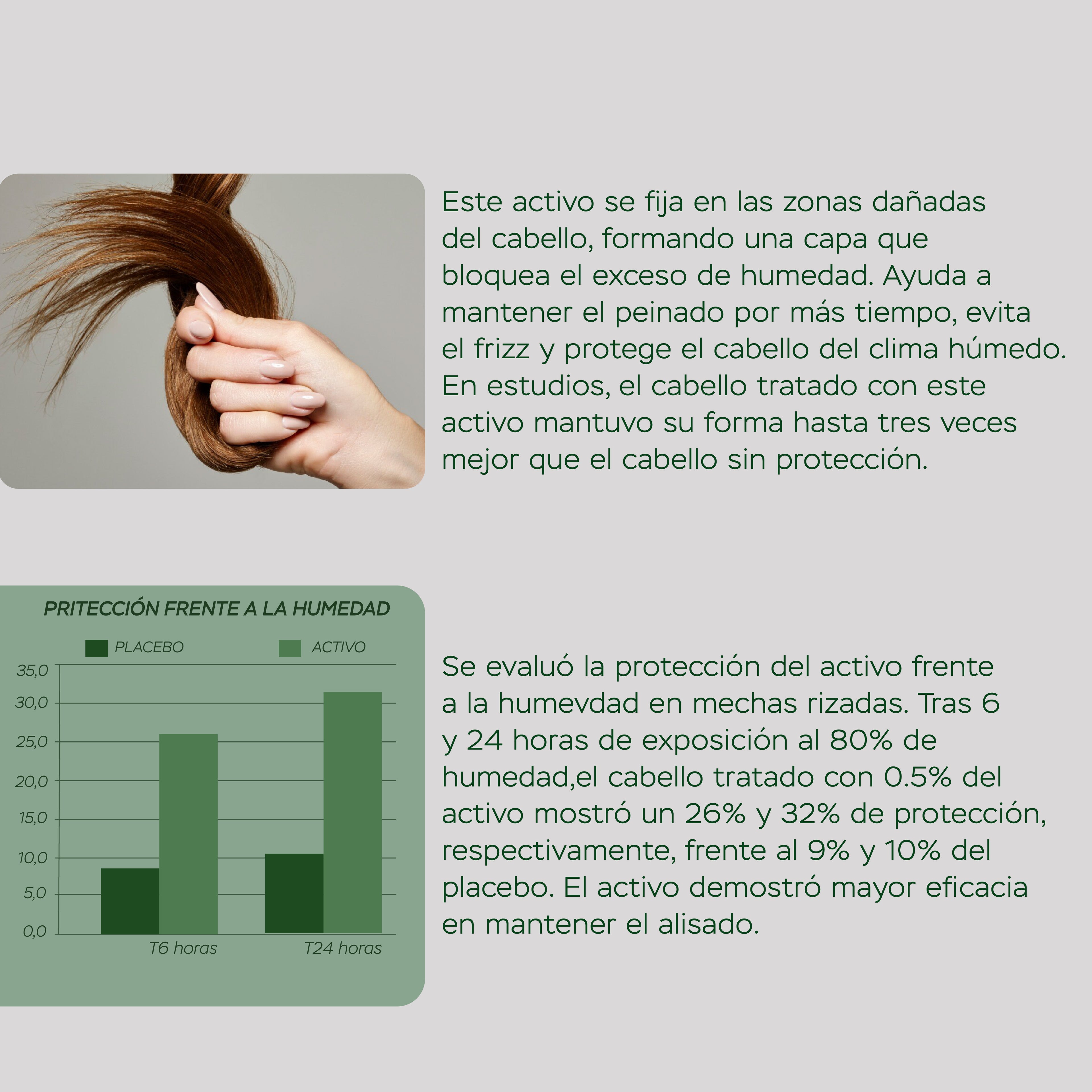 Tratamiento Anti-frizz + Hidratar